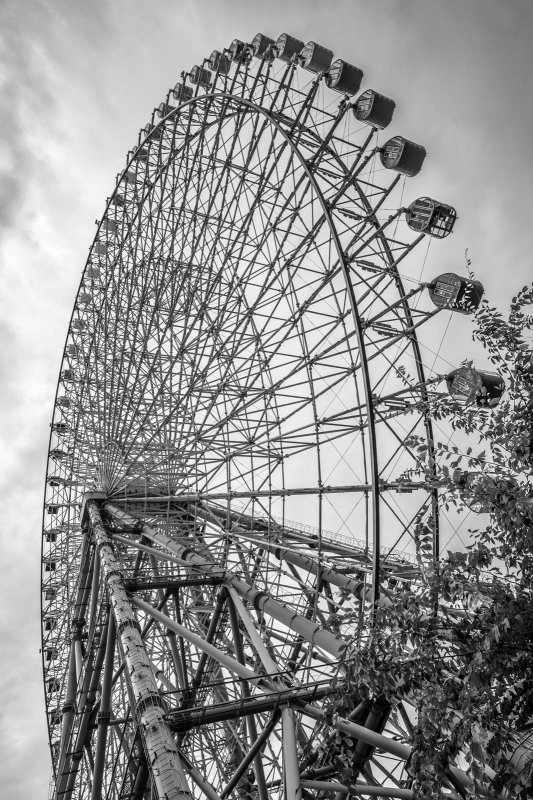 DSC_6816